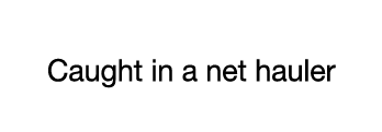 CASE 13  Caught in a net hauler